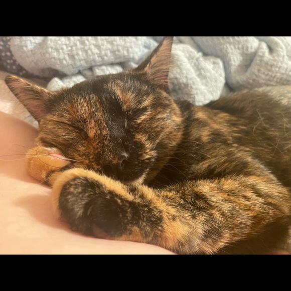 MEET MY PETS (: - Picture 16 of 16